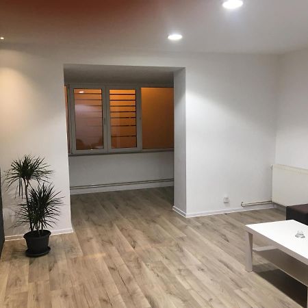 Apartment City Center 皮特什蒂 外观 照片